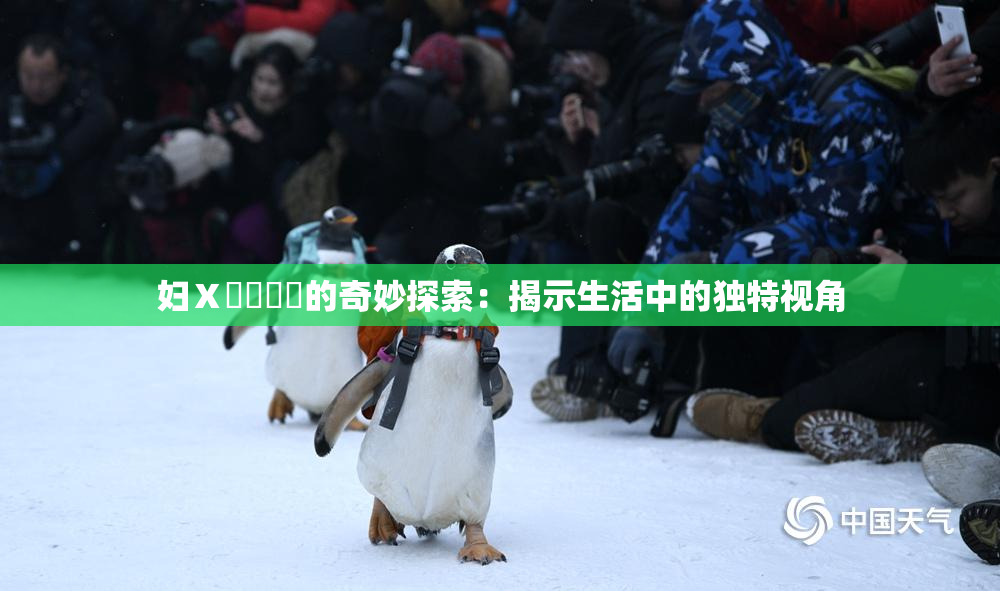 妇Ⅹ乄乂❌‌的奇妙探索：揭示生活中的独特视角