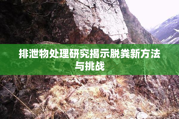 排泄物处理研究揭示脱粪新方法与挑战
