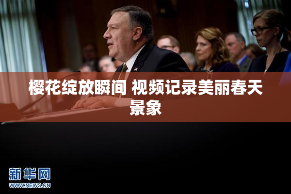 樱花绽放瞬间 视频记录美丽春天景象