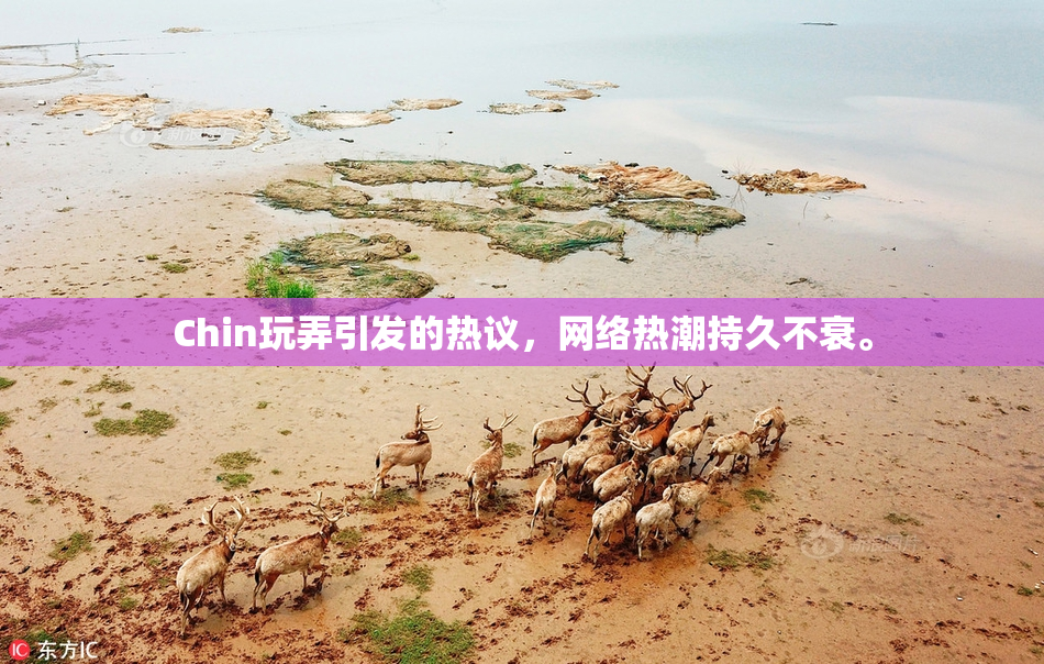 Chin玩弄引发的热议，网络热潮持久不衰。