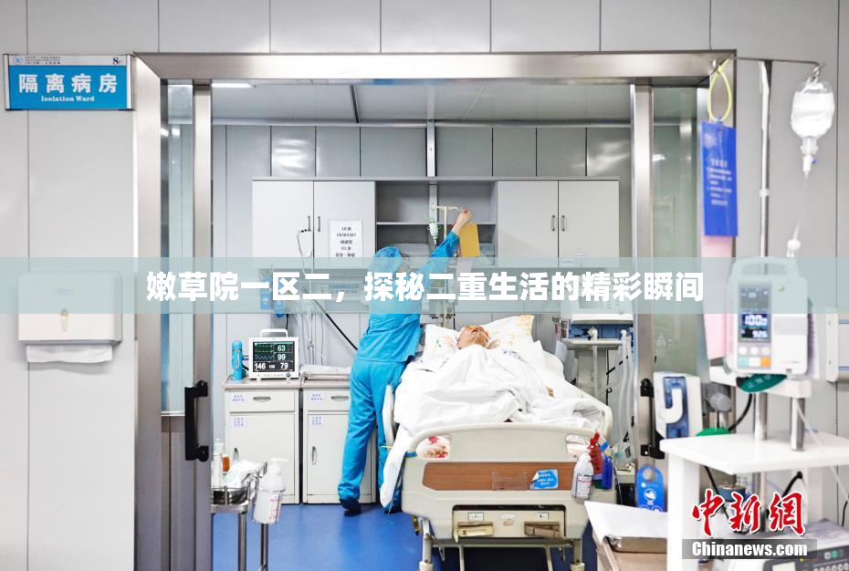 嫩草院一区二，探秘二重生活的精彩瞬间