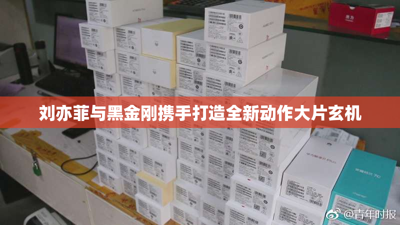 刘亦菲与黑金刚携手打造全新动作大片玄机