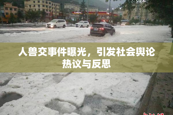 人兽交事件曝光，引发社会舆论热议与反思