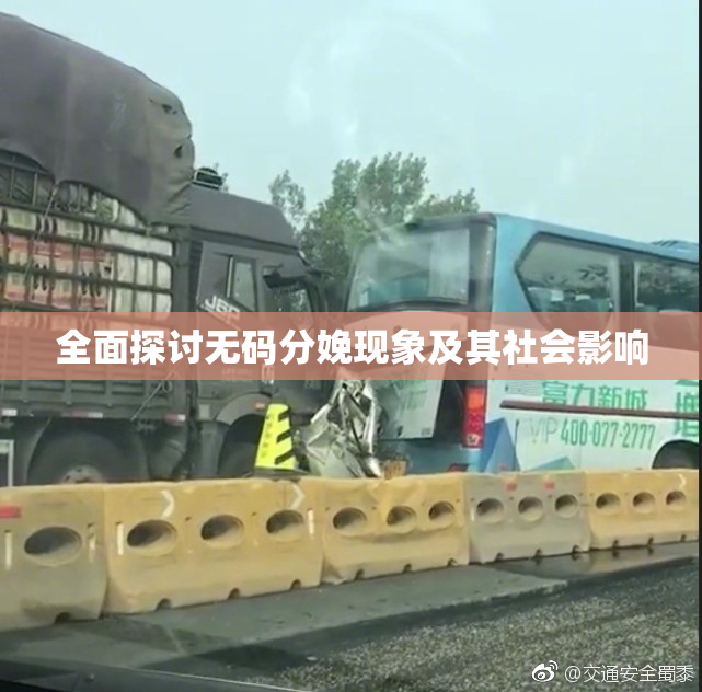 全面探讨无码分娩现象及其社会影响