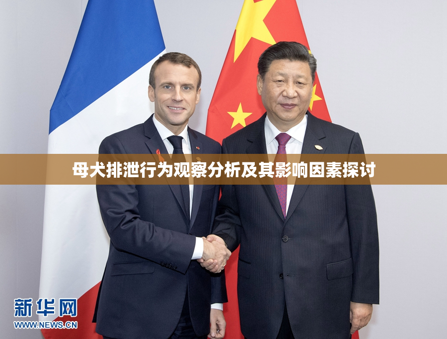 母犬排泄行为观察分析及其影响因素探讨