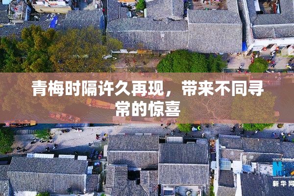 青梅时隔许久再现，带来不同寻常的惊喜