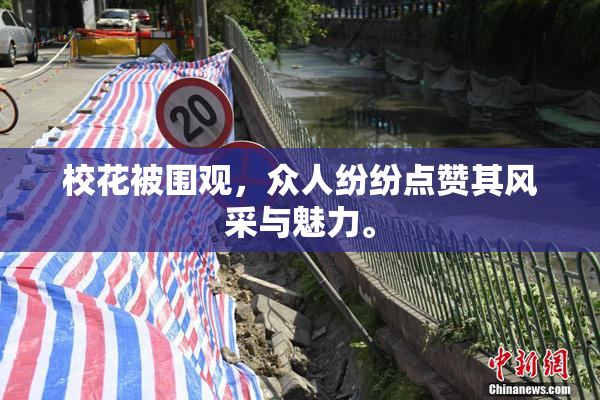 校花被围观，众人纷纷点赞其风采与魅力。