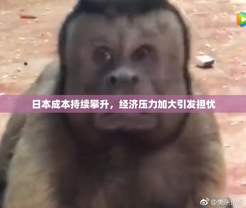 日本成本持续攀升，经济压力加大引发担忧