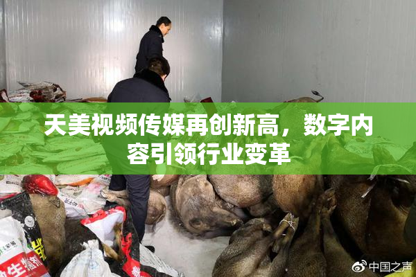 天美视频传媒再创新高，数字内容引领行业变革