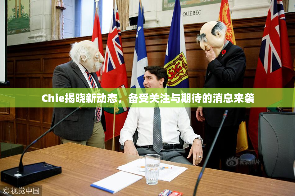 Chie揭晓新动态，备受关注与期待的消息来袭