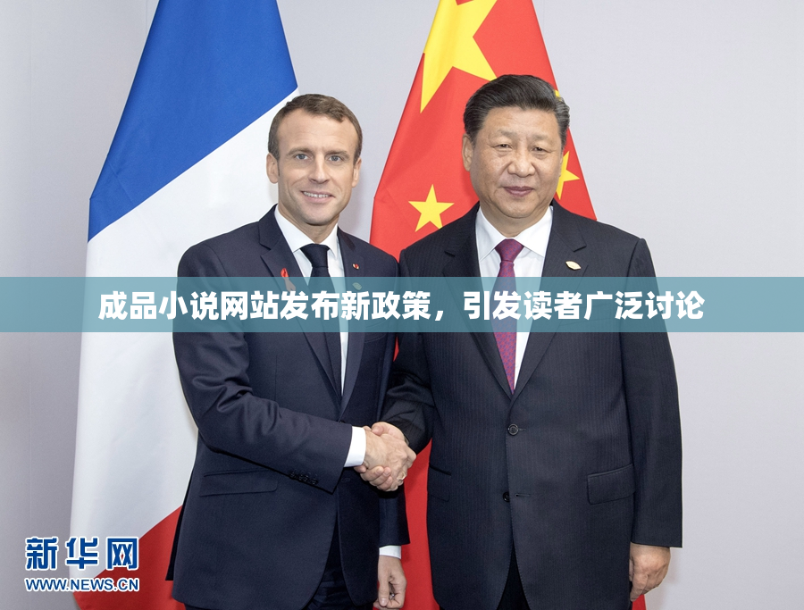 成品小说网站发布新政策，引发读者广泛讨论