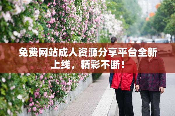 免费网站成人资源分享平台全新上线，精彩不断！