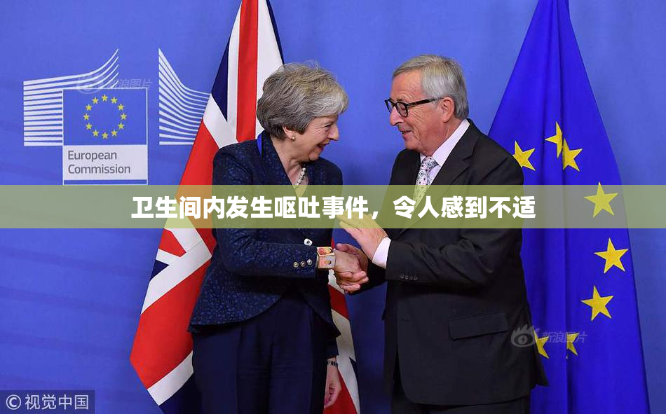 卫生间内发生呕吐事件，令人感到不适