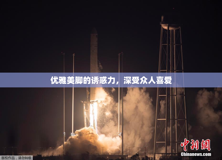 优雅美脚的诱惑力，深受众人喜爱