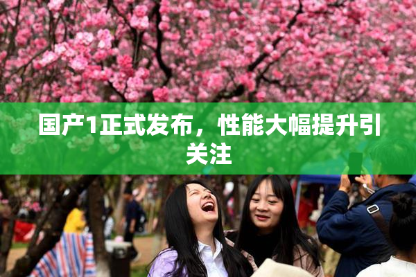国产1正式发布，性能大幅提升引关注