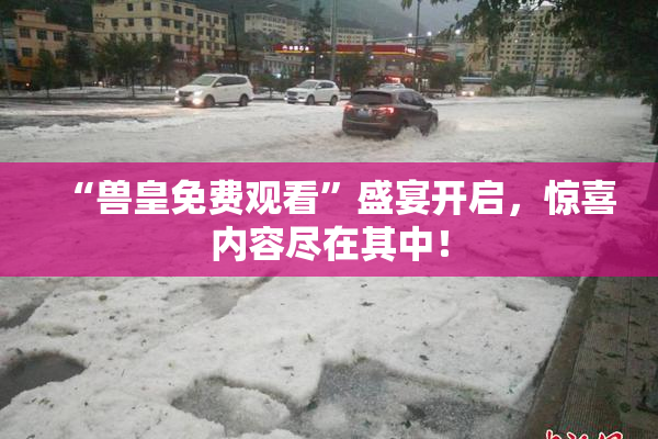 “兽皇免费观看”盛宴开启，惊喜内容尽在其中！
