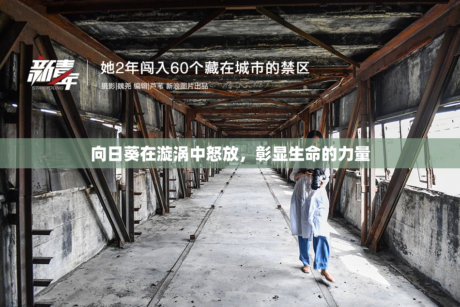 向日葵在漩涡中怒放，彰显生命的力量
