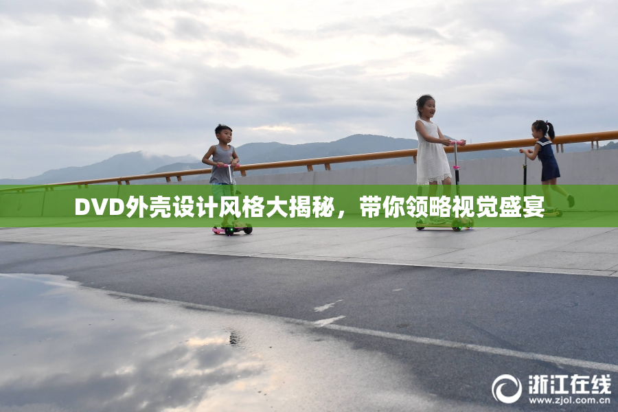DVD外壳设计风格大揭秘，带你领略视觉盛宴