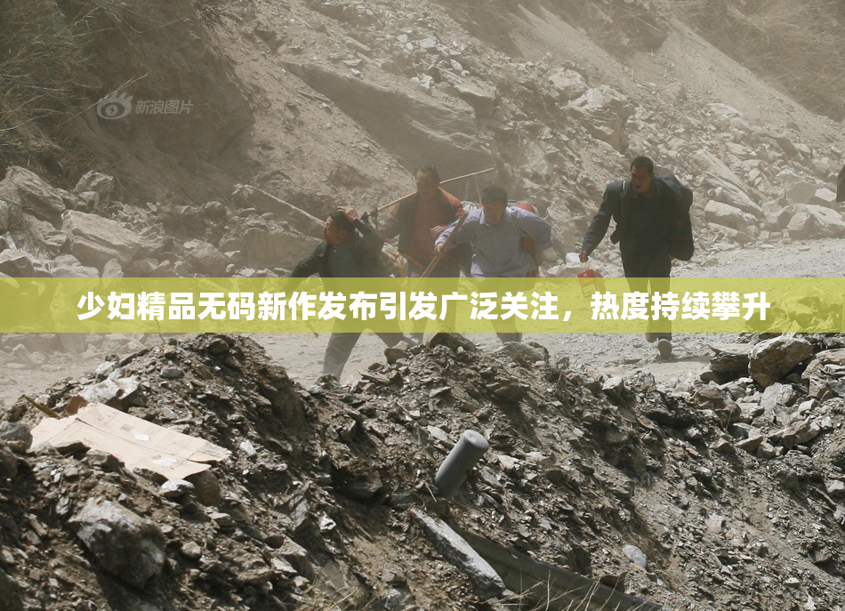 少妇精品无码新作发布引发广泛关注，热度持续攀升