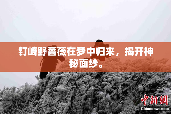 钉崎野蔷薇在梦中归来，揭开神秘面纱。