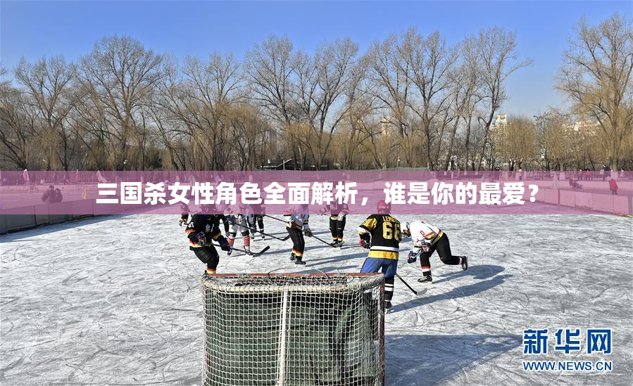 三国杀女性角色全面解析，谁是你的最爱？