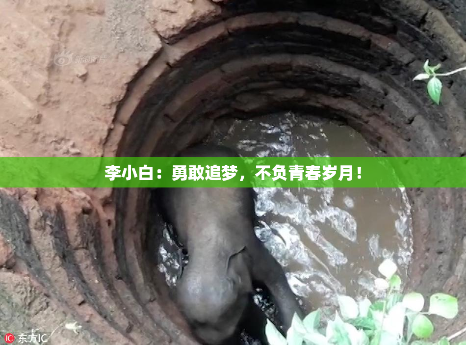 李小白：勇敢追梦，不负青春岁月！