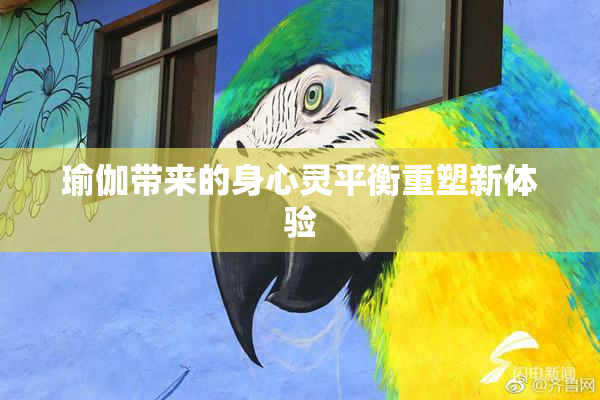 瑜伽带来的身心灵平衡重塑新体验