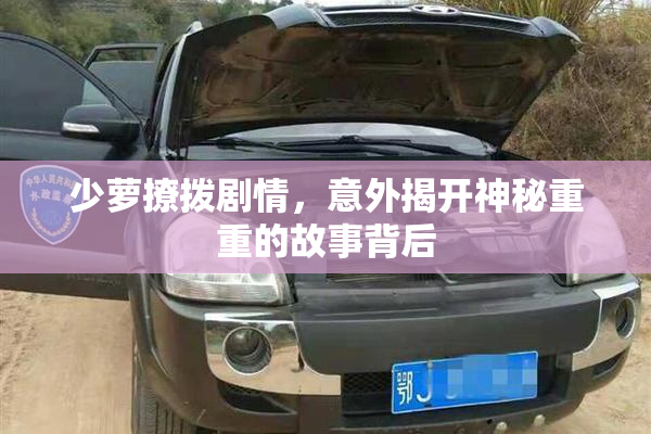 少萝撩拨剧情，意外揭开神秘重重的故事背后