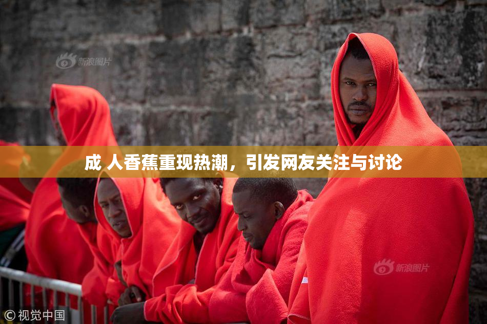 成 人香蕉重现热潮，引发网友关注与讨论