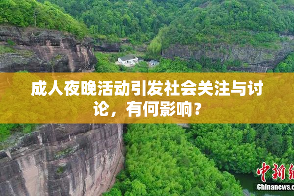 成人夜晚活动引发社会关注与讨论，有何影响？