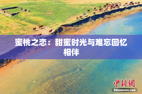 蜜桃之恋：甜蜜时光与难忘回忆相伴
