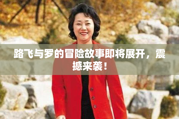路飞与罗的冒险故事即将展开，震撼来袭！