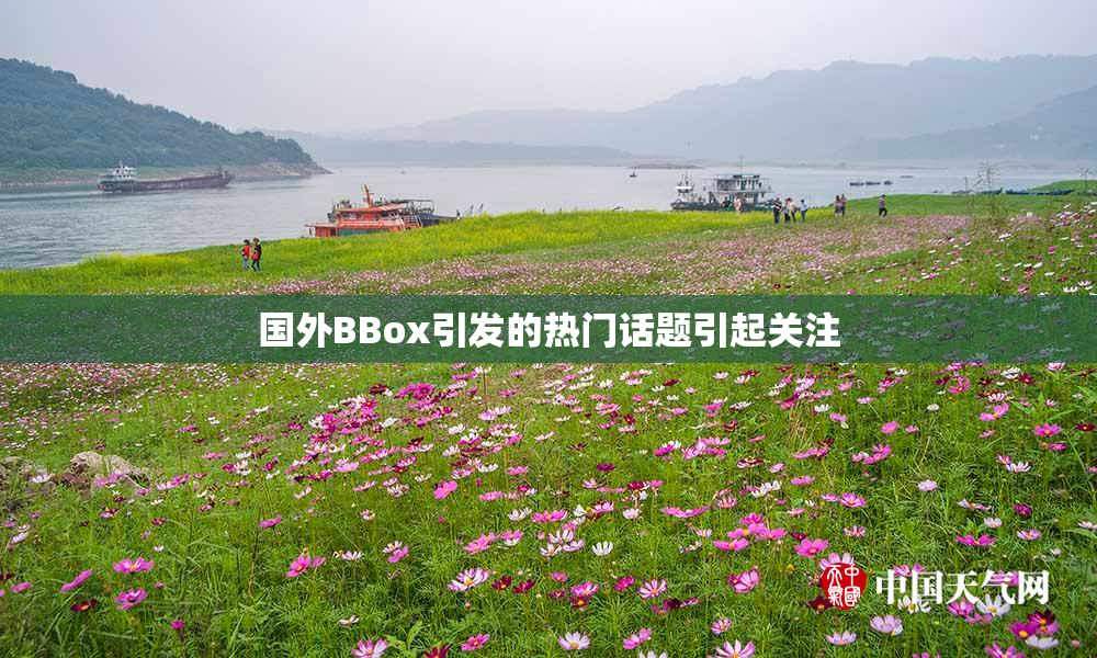 国外BBox引发的热门话题引起关注