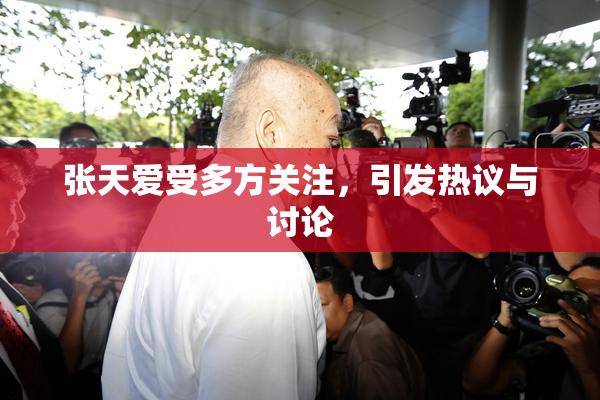 张天爱受多方关注，引发热议与讨论