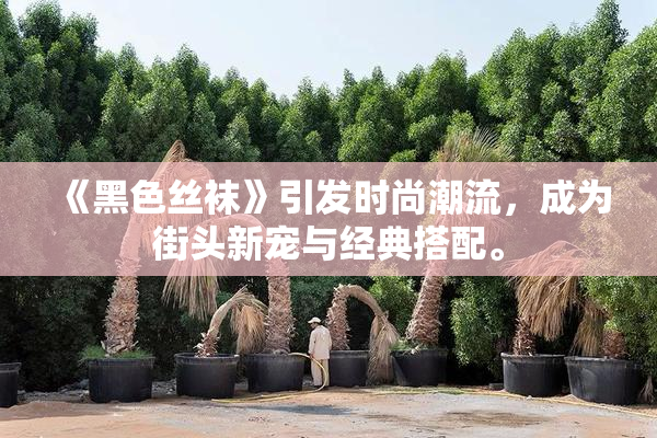 《黑色丝袜》引发时尚潮流，成为街头新宠与经典搭配。