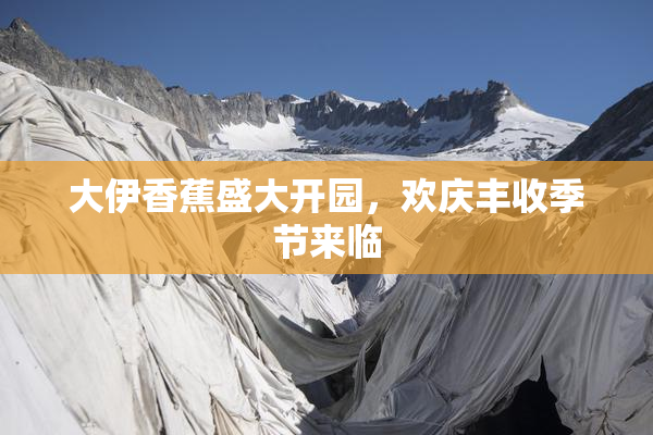 大伊香蕉盛大开园，欢庆丰收季节来临