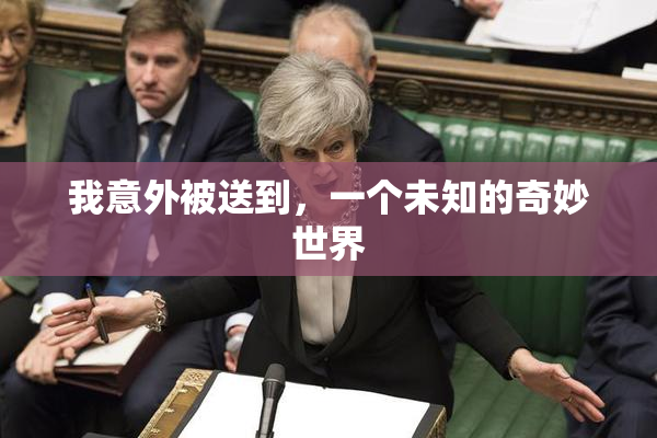 我意外被送到，一个未知的奇妙世界