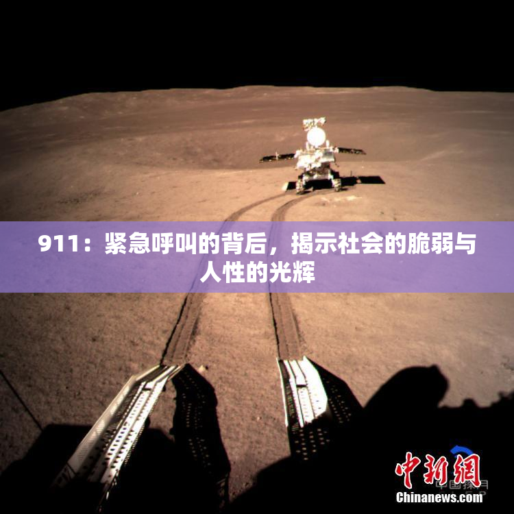 911：紧急呼叫的背后，揭示社会的脆弱与人性的光辉