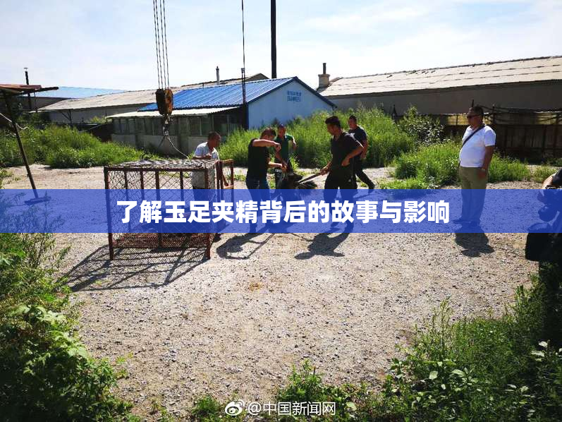 了解玉足夹精背后的故事与影响