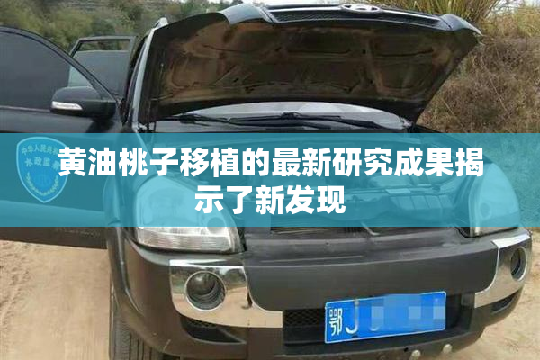 黄油桃子移植的最新研究成果揭示了新发现