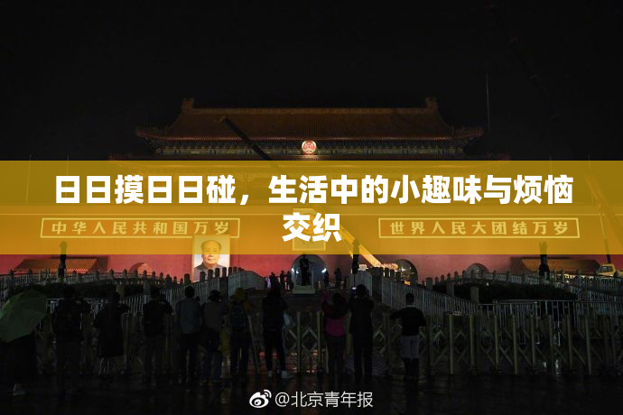 日日摸日日碰，生活中的小趣味与烦恼交织