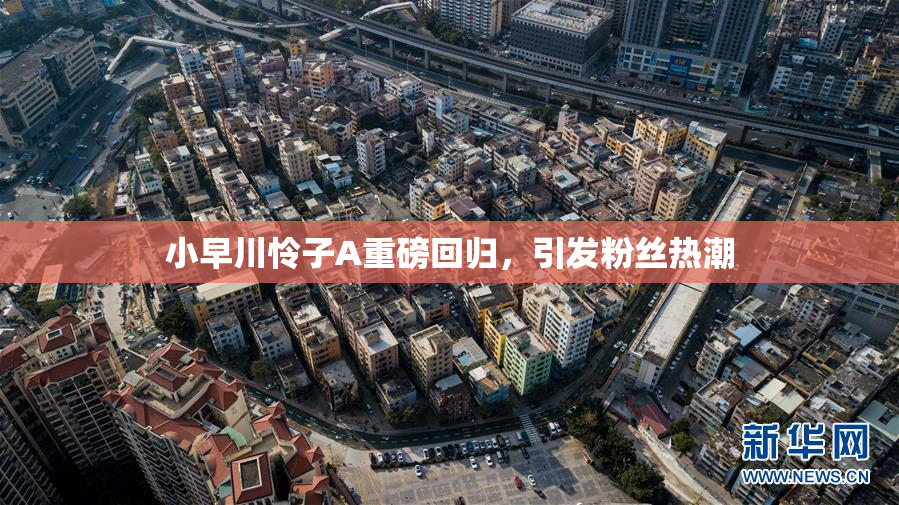 小早川怜子A重磅回归，引发粉丝热潮
