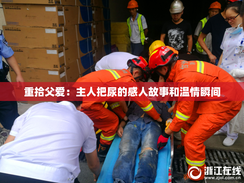 重拾父爱：主人把尿的感人故事和温情瞬间