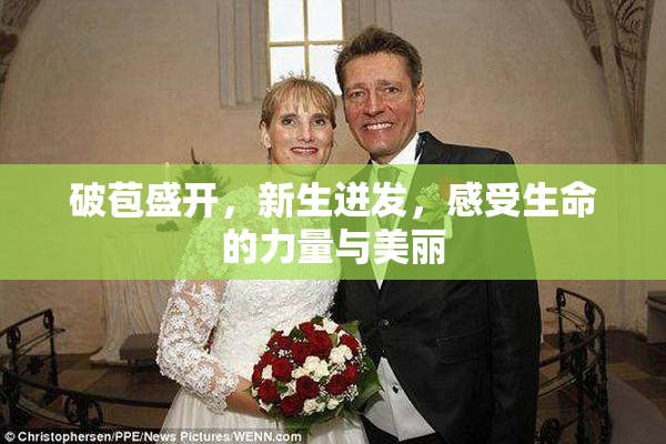 破苞盛开，新生迸发，感受生命的力量与美丽