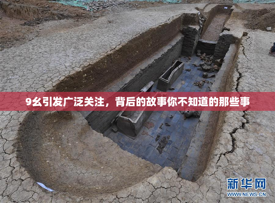 9幺引发广泛关注，背后的故事你不知道的那些事