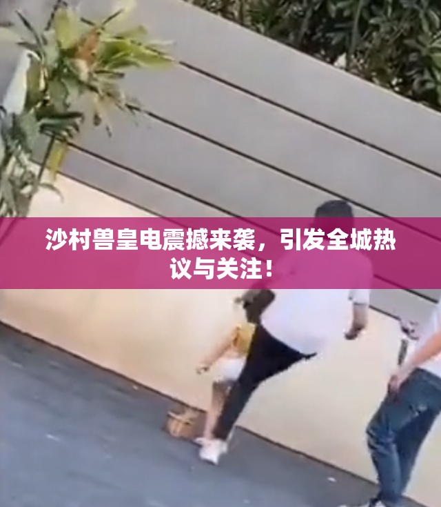沙村兽皇电震撼来袭，引发全城热议与关注！