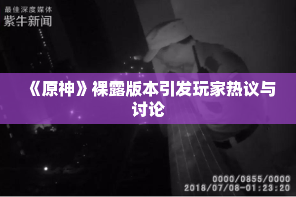 《原神》裸露版本引发玩家热议与讨论