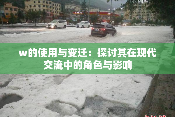 w的使用与变迁：探讨其在现代交流中的角色与影响