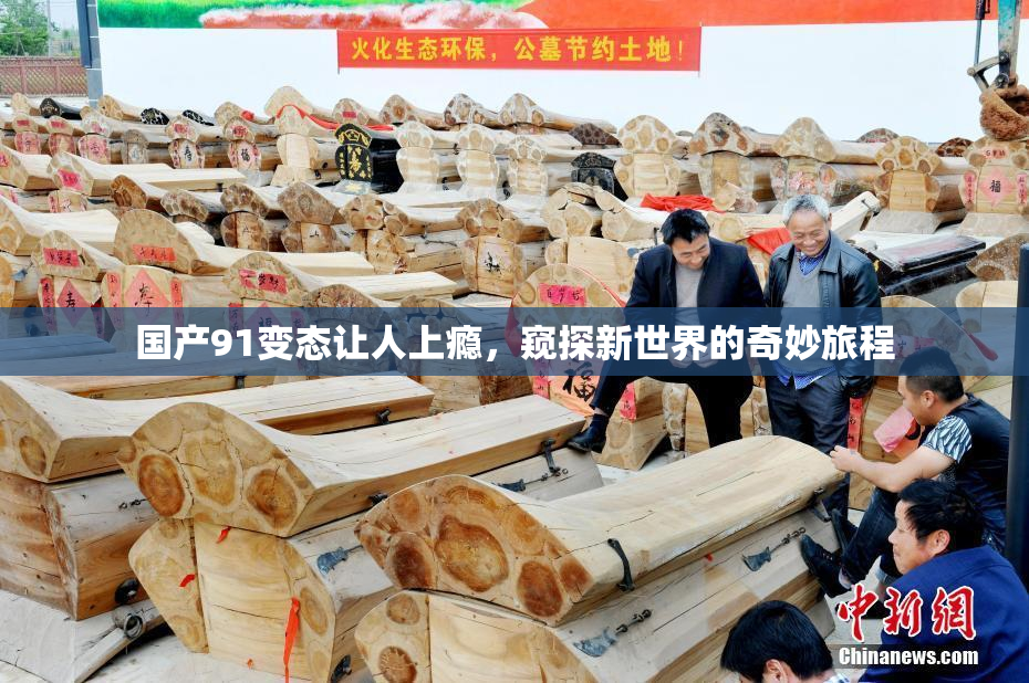 国产91变态让人上瘾，窥探新世界的奇妙旅程