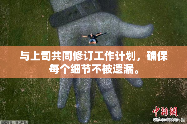 与上司共同修订工作计划，确保每个细节不被遗漏。